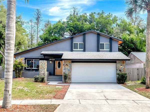 16133 RAVENDALE DRIVE , TAMPA, FL 33618