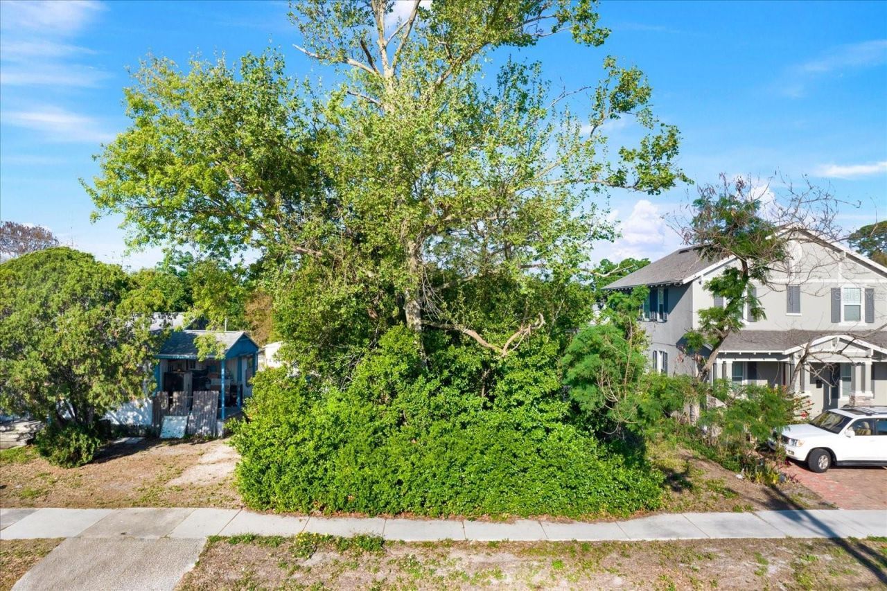 22nd Street N, Saint Petersburg, FL 33713 Photo