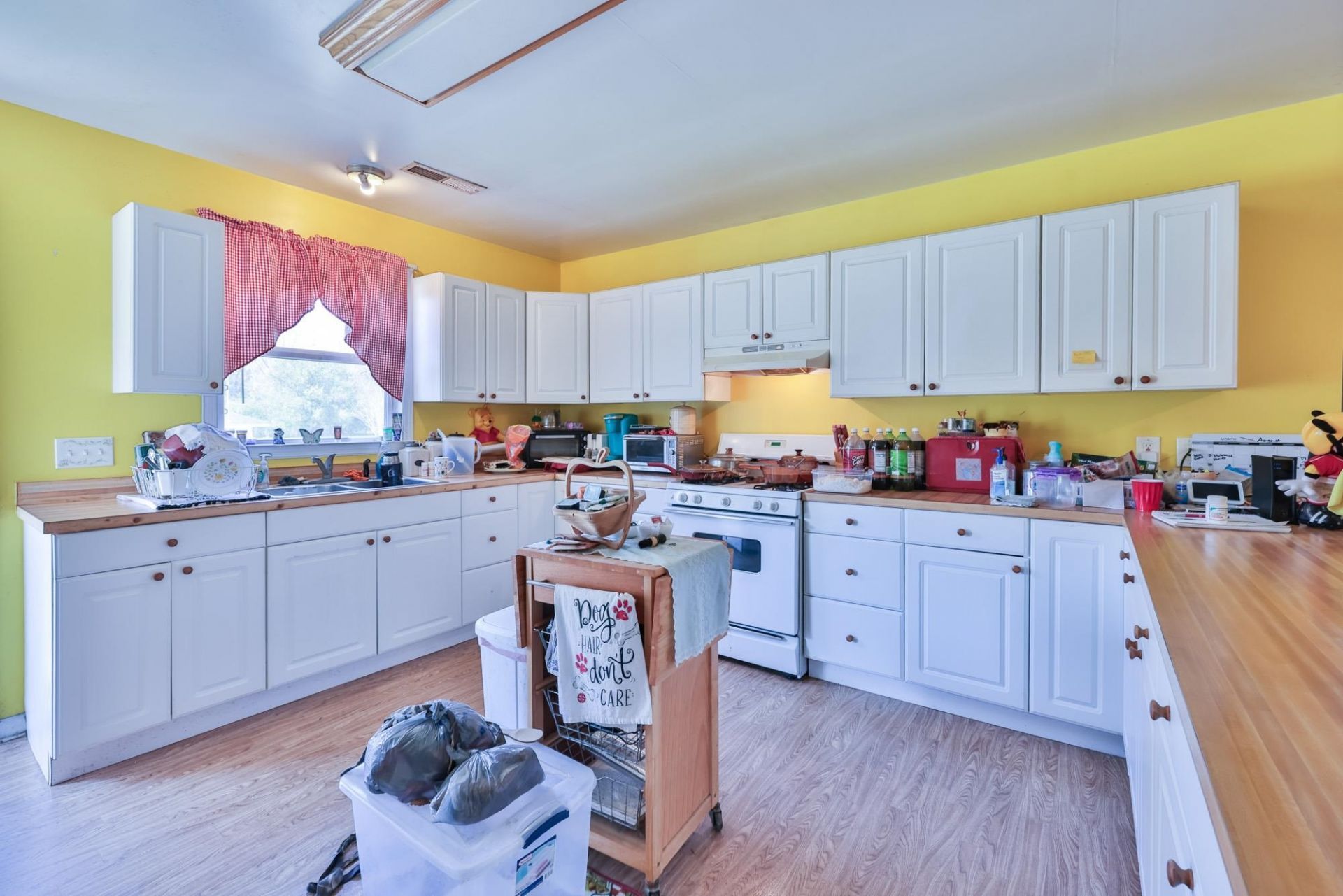 57 Jacobs Ave. Photo 7