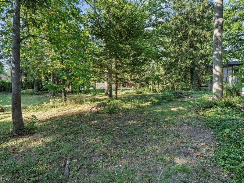 6208 Dora Boulevard, Independence, OH 44131 Photo 48