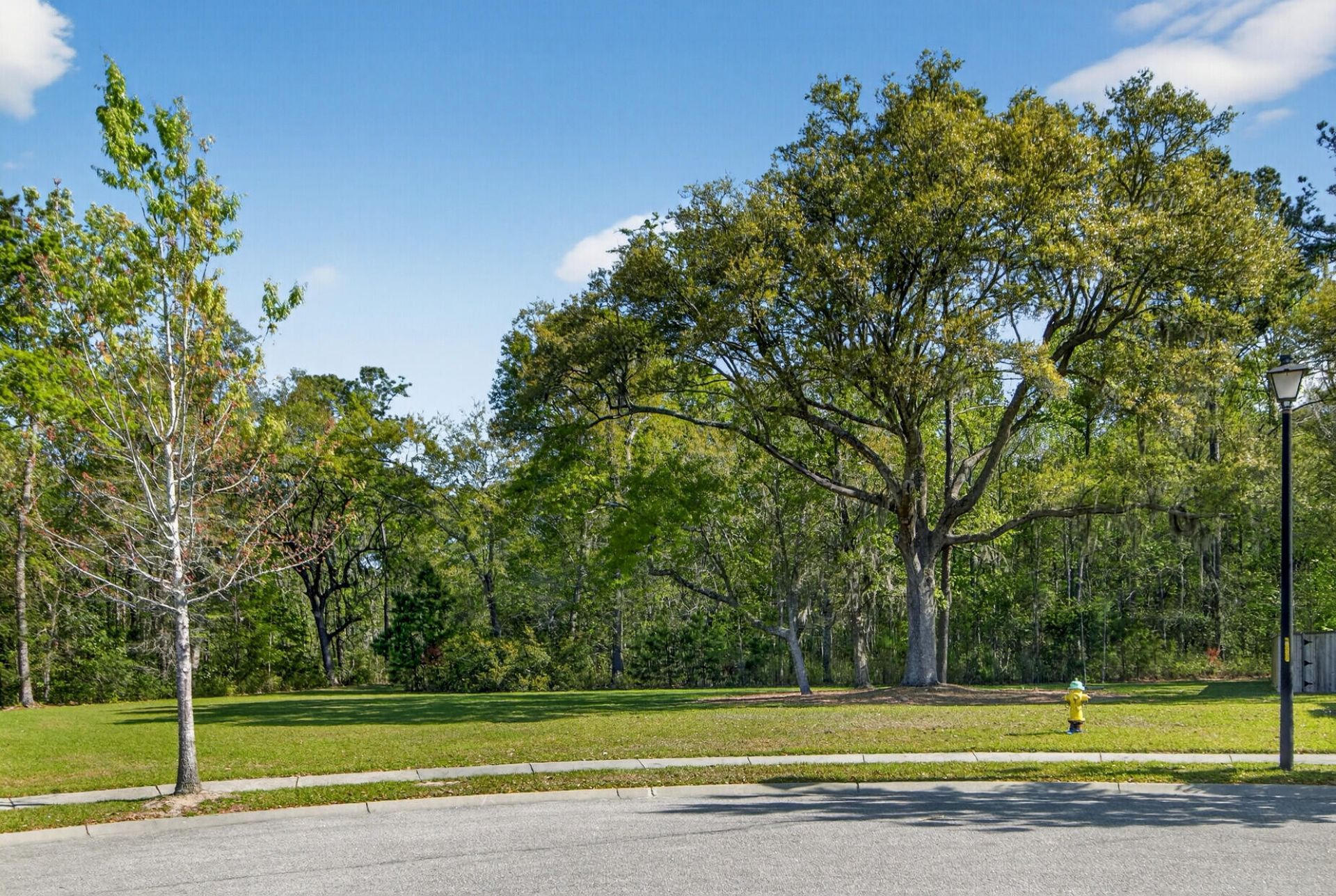 1903 Toland Court Photo 47