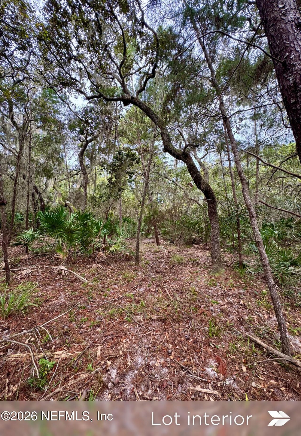 909 Eagle Drive, Saint Augustine, FL 32086 Photo