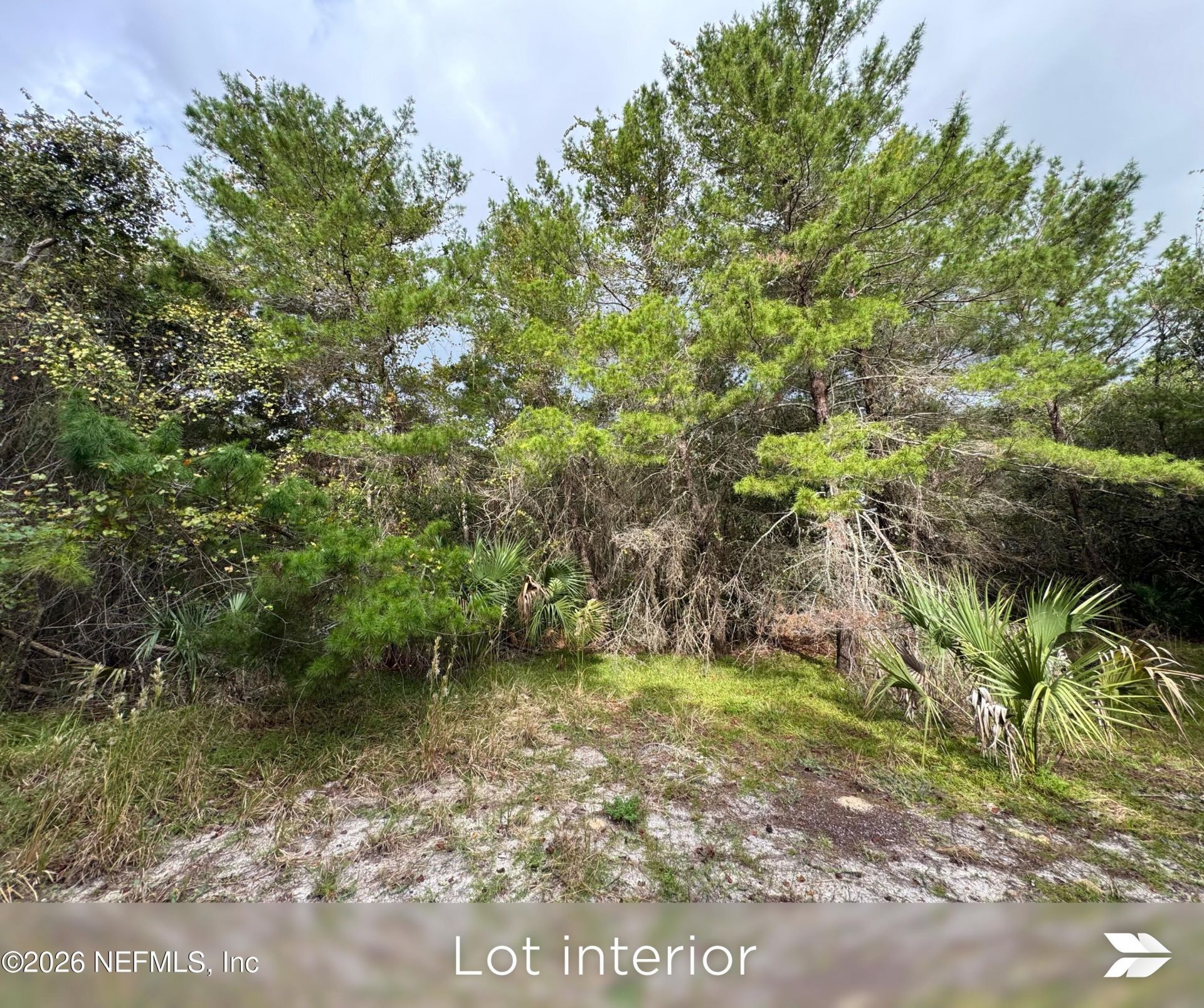 909 Eagle Drive, Saint Augustine, FL 32086 Photo