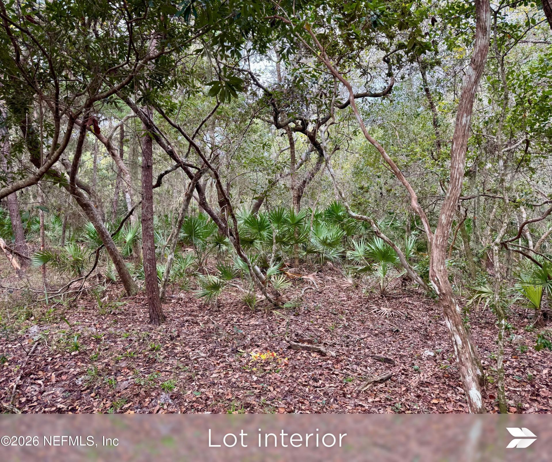 909 Eagle Drive, Saint Augustine, FL 32086 Photo