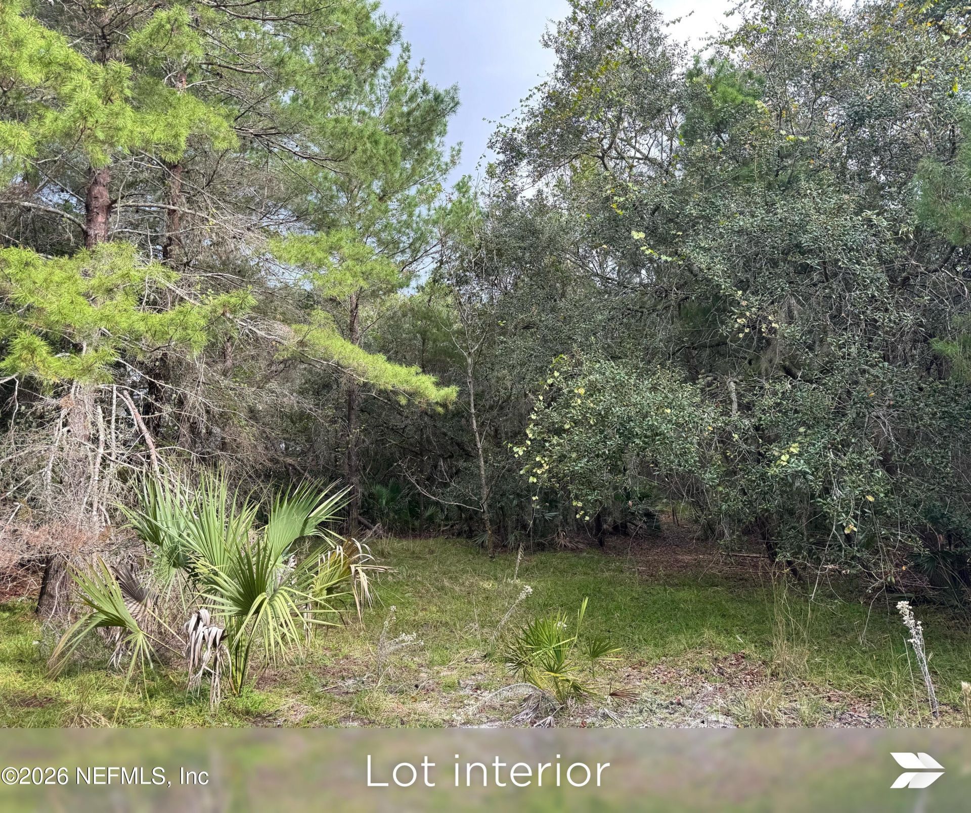 909 Eagle Drive, Saint Augustine, FL 32086 Photo