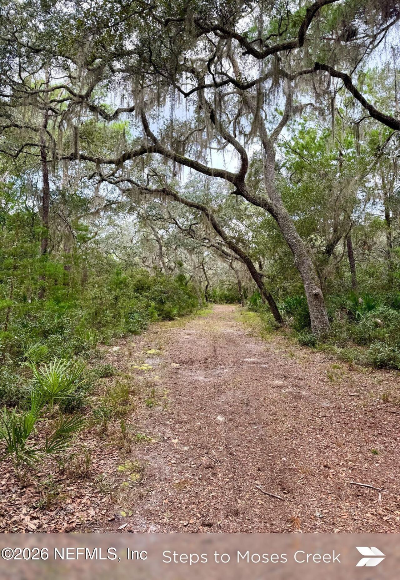 909 Eagle Drive, Saint Augustine, FL 32086 Photo