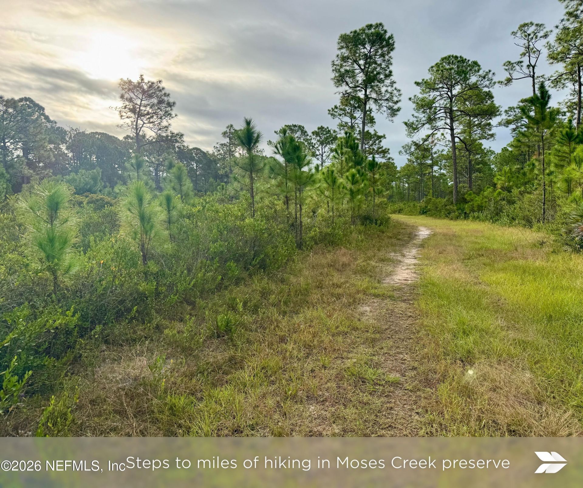 909 Eagle Drive, Saint Augustine, FL 32086 Photo