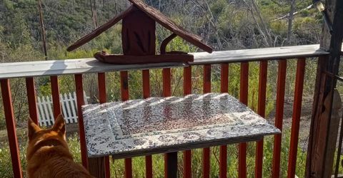 16140 Baker Riley Rd, Mokelumne Hill, CA 95245 Photo