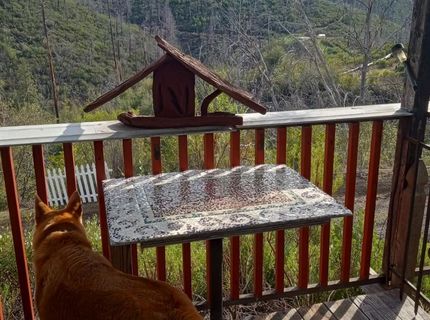 16140 Baker Riley Rd, Mokelumne Hill, CA 95245 Photo