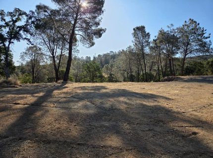 4493 Buckboard Ln, Campo Seco, CA 95226 Photo