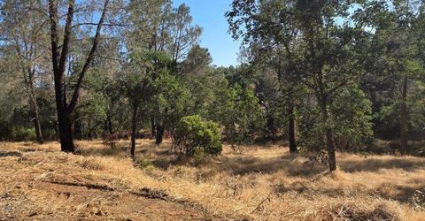 4493 Buckboard Ln, Campo Seco, CA 95226 Photo