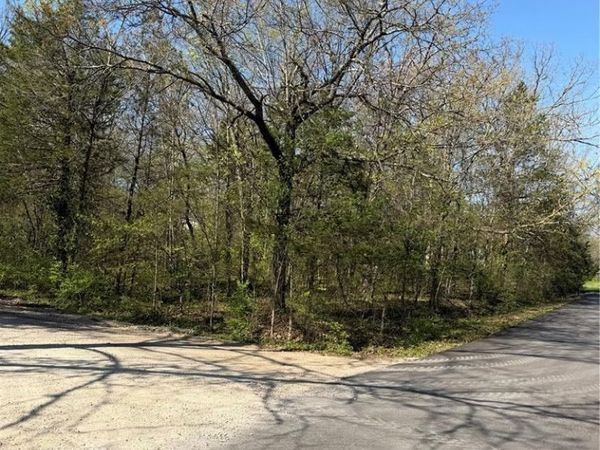 TBD Rue Charlemange, Bonne Terre, MO 63628