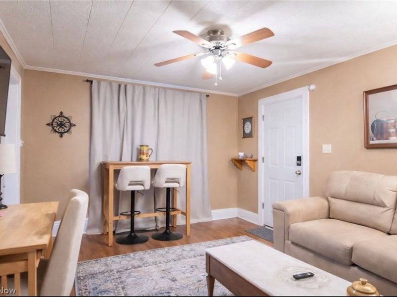 296 Cole Avenue, Akron, OH 44301 Photo 3