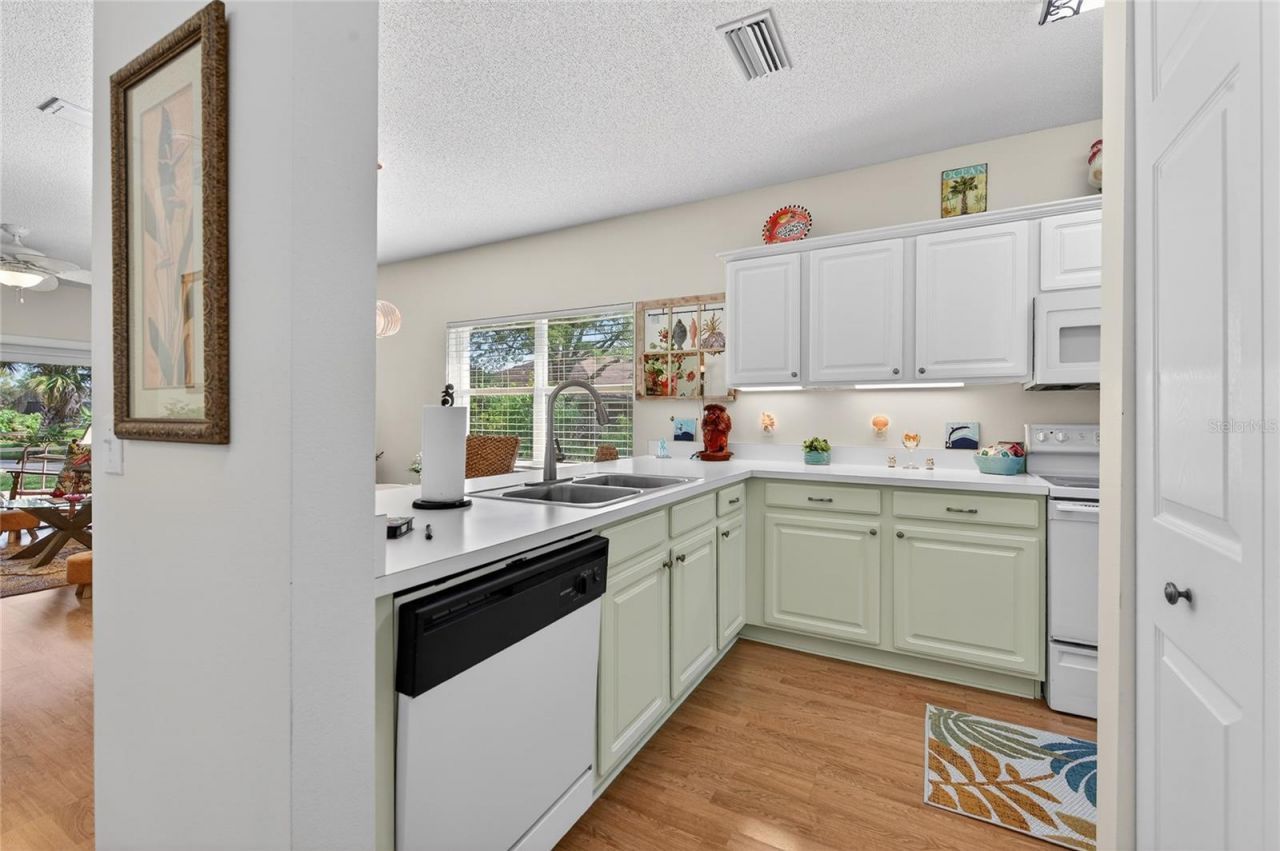 1801 Turnbull Lakes Drive, New Smyrna Beach, FL 32168 Photo