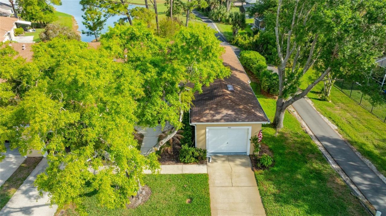 1801 Turnbull Lakes Drive, New Smyrna Beach, FL 32168 Photo