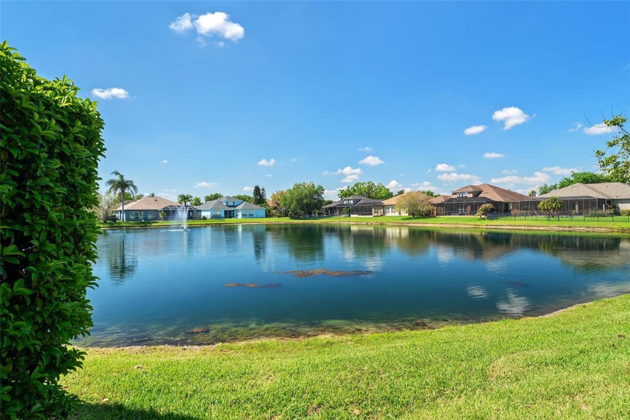 22810 Collridge Drive, Land O Lakes, FL 34639 Photo