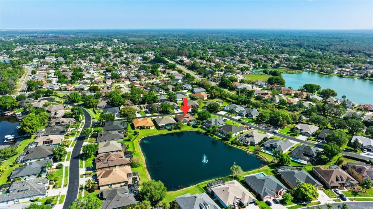 22810 Collridge Drive, Land O Lakes, FL 34639 Photo