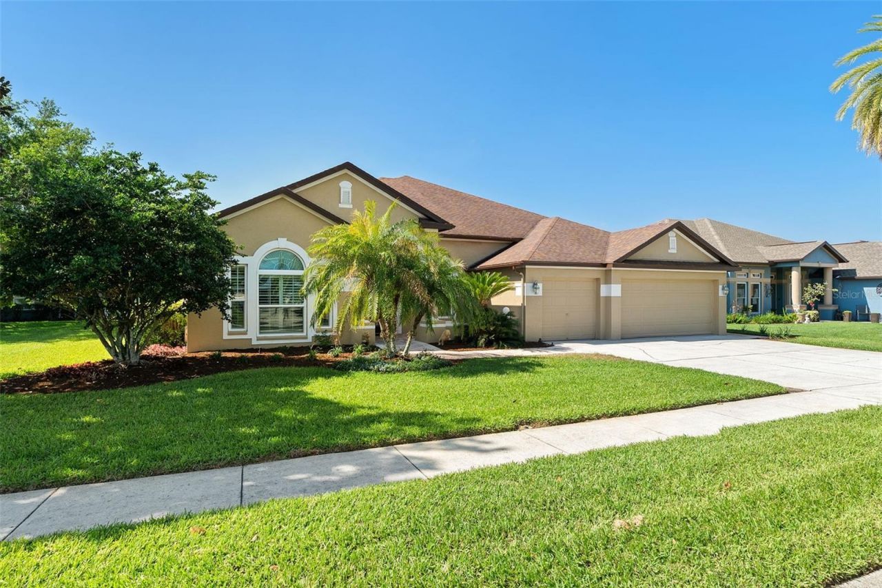 22810 Collridge Drive, Land O Lakes, FL 34639 Photo