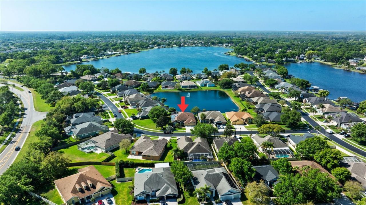 22810 Collridge Drive, Land O Lakes, FL 34639 Photo