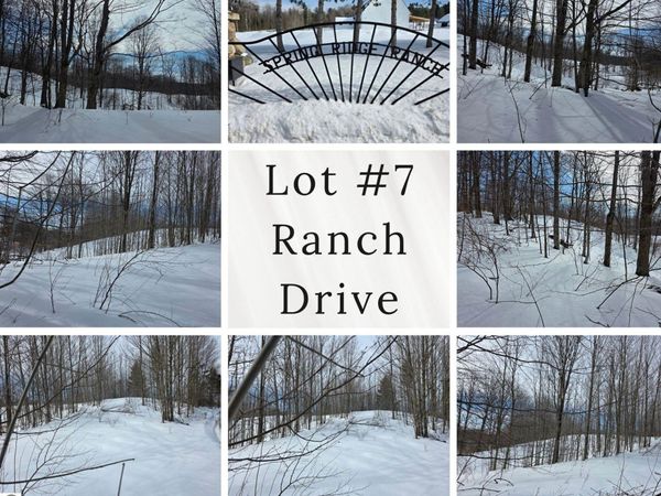 Ranch Drive, Bellaire, MI 49615