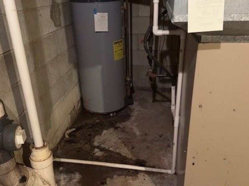 1773 Old Forge Road, Niles, OH 44446 Photo 19