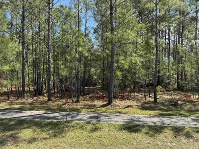 113 Pineberry Dr. , Georgetown, SC 29440