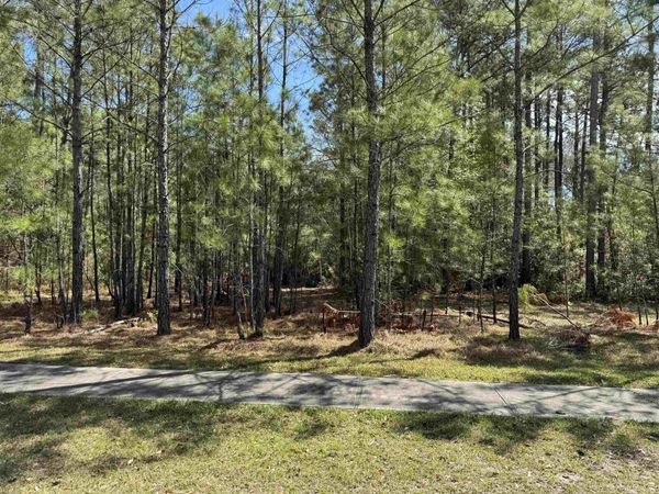 113 Pineberry Dr. , Georgetown, SC 29440