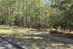 113 Pineberry Dr. photo 4