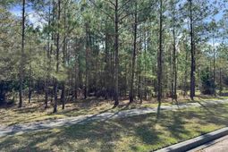 113 Pineberry Dr. photo 4