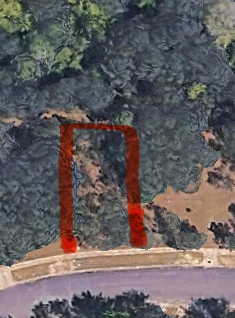 113 Pineberry Dr. Photo 4