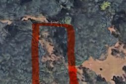 113 Pineberry Dr. photo 4