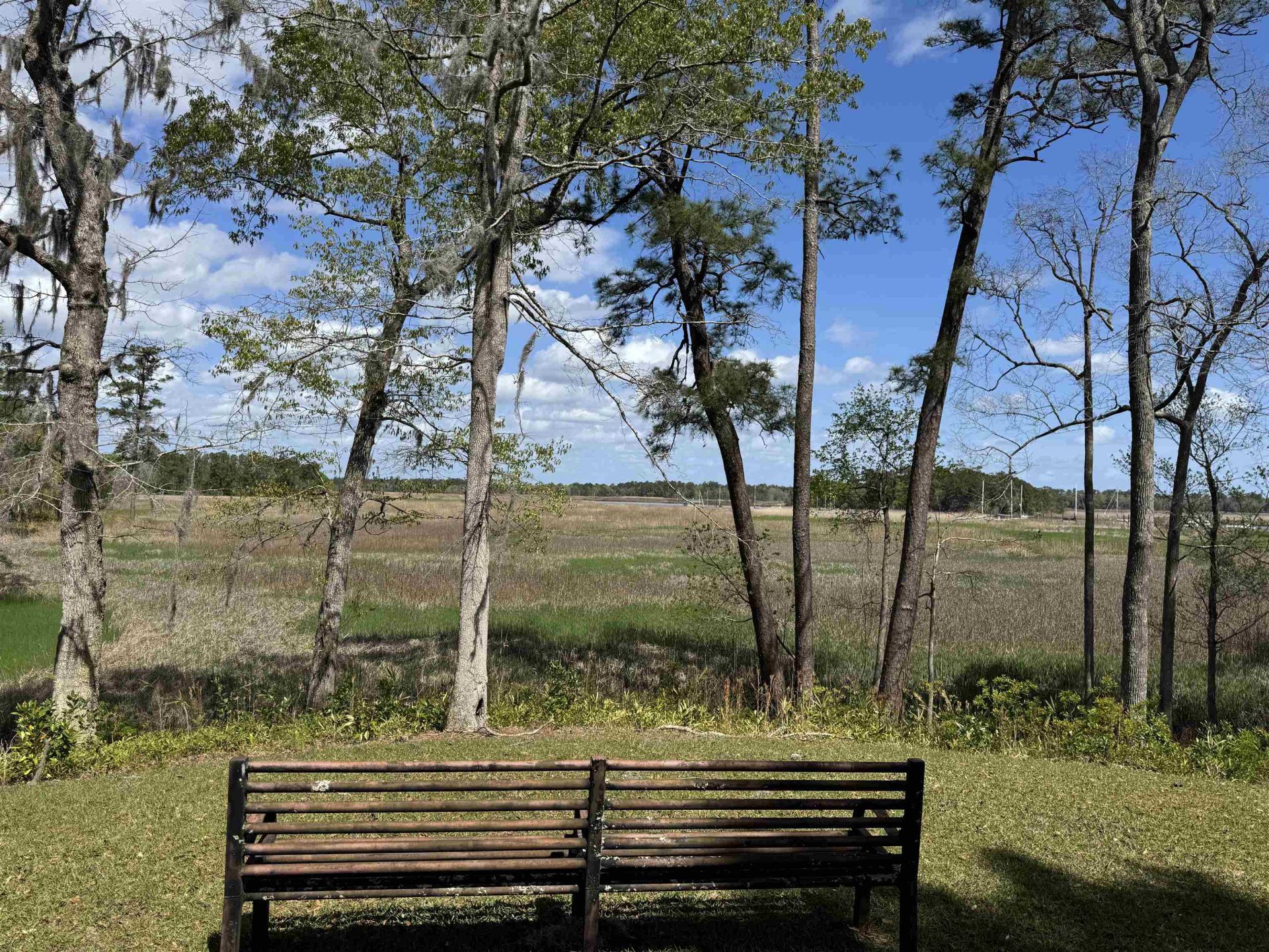 113 Pineberry Dr. Photo 5