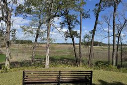 113 Pineberry Dr. photo 4