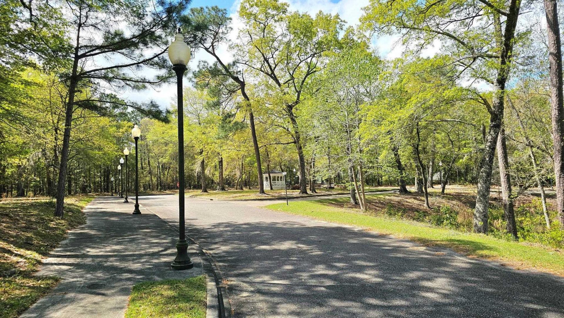 113 Pineberry Dr. Photo 6