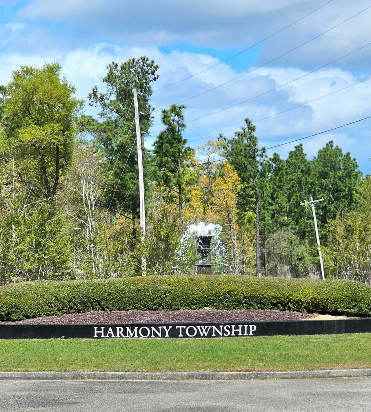 113 Pineberry Dr. Photo 8