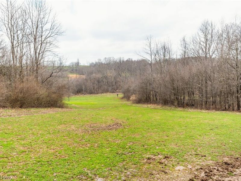 18579 Hobbler Lane, Lore City, OH 43755 Photo 46