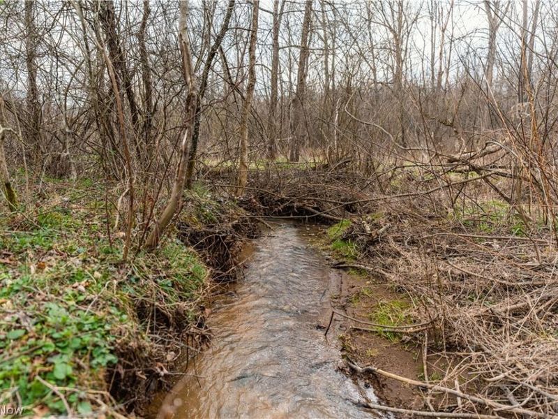 18579 Hobbler Lane, Lore City, OH 43755 Photo 47