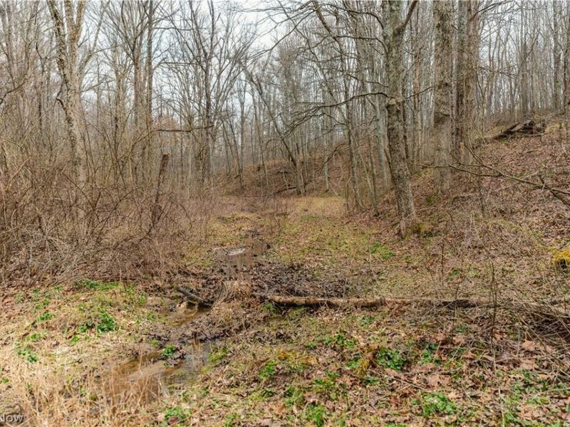 18579 Hobbler Lane, Lore City, OH 43755 Photo 48