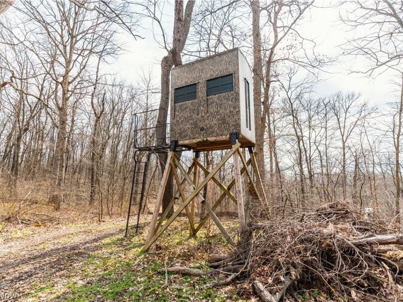 18579 Hobbler Lane, Lore City, OH 43755 Photo 49