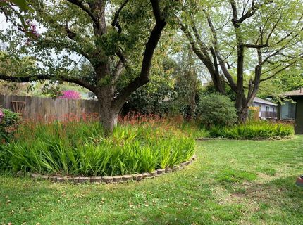 4033 Cayente Way, Sacramento, CA 95864 Photo