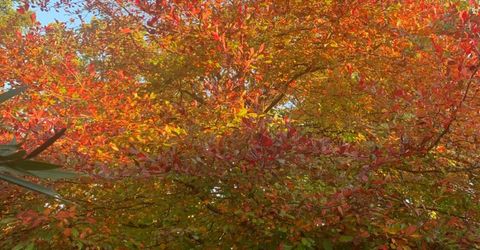 4033 Cayente Way, Sacramento, CA 95864 Photo