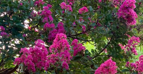 4033 Cayente Way, Sacramento, CA 95864 Photo