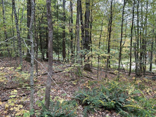 0 Crane Mt Road, Unit Lot # 2, Townshend, VT 05353