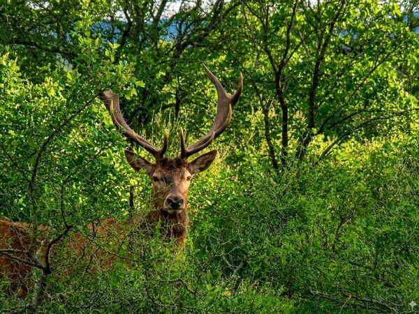 11222 SE HWY 2 Street, Tuskahoma, OK 74574