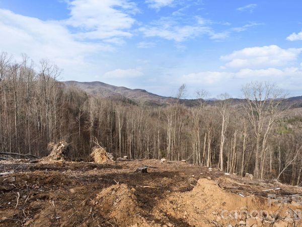 TBD Pinnacle View , Elk Park, NC 28622