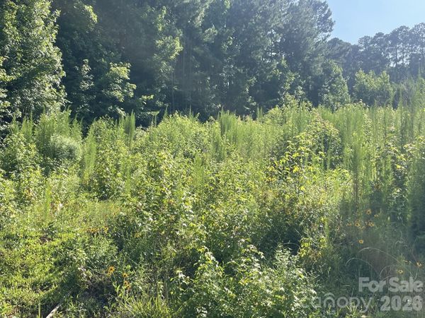 0 Ski Pond Road , New London, NC 28127