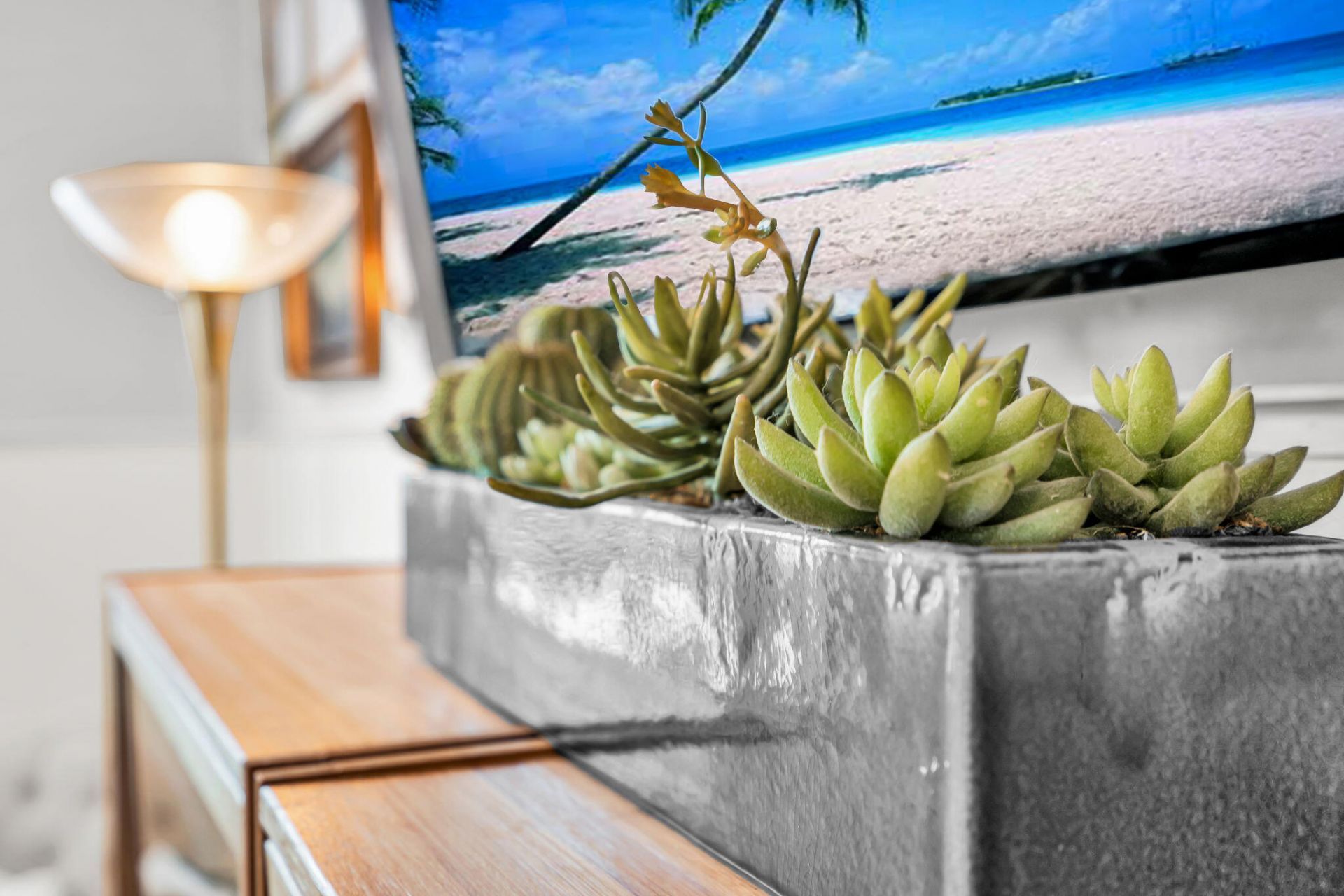 1634 Bluewater Way Photo 10