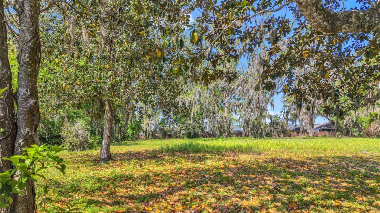 11338 N Us Highway 301, Oxford, FL 34484 Photo