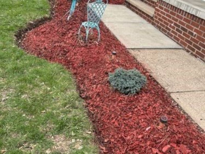 2506 Torrington Avenue, Parma, OH 44134 Photo 3