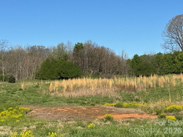 Lot #4 Prince Road , Columbus, NC 28722
